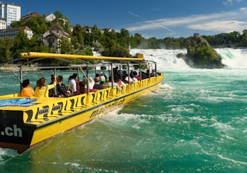 Экскурсия на лодке по Рейнскому водопаду к средней скале